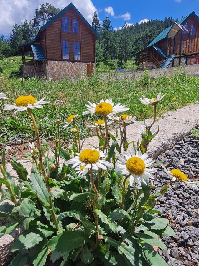 Villa Vikendice Itana Žabljak Exterior foto